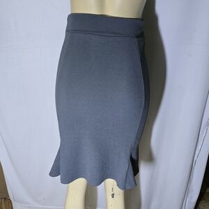 Elegant Gray Women's Skirt